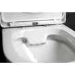 Kép 7/9 - AQUALINE Jalta Hygie monoblokkos WC, alsó/hátsó kifolyású, WC-ülőke nélkül, mosdóval