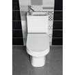 Kép 5/8 - AQUALINE Hygie monoblokkos WC, alsó/hátsó kifolyású, WC-ülőke nélkül, mosdóval