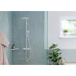 Kép 8/13 - HANSGROHE AddStoris sarokpolc