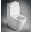 Kép 5/9 - SAPHO Paco rimless monoblokkos WC, alsó/hátsó kifolyású, ülőke nélkül, 38×64 cm, duálgombos öblítőmechanikával