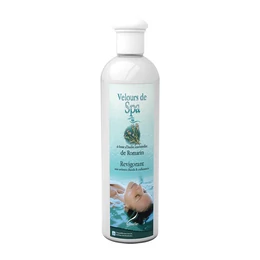 WELLIS Spa aromaolaj medencékhez - rozmaring WELLIS Spa aromaolaj medencékhez - rozmaring