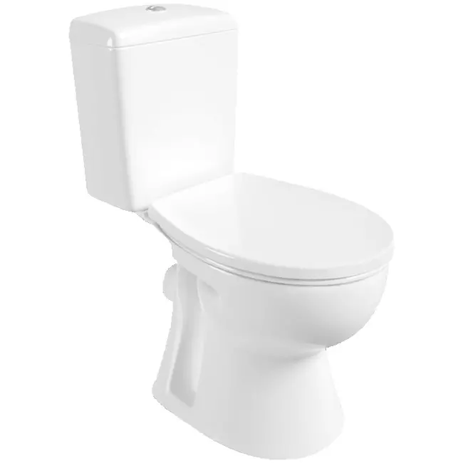 ALFÖLDI Saval 2.0 monoblokk WC, mély, hátsó, Easyplus