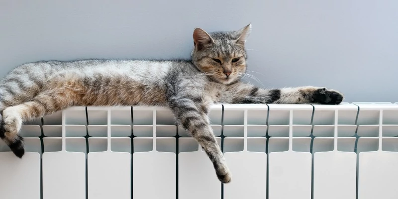 Bugyborekol A Radiator